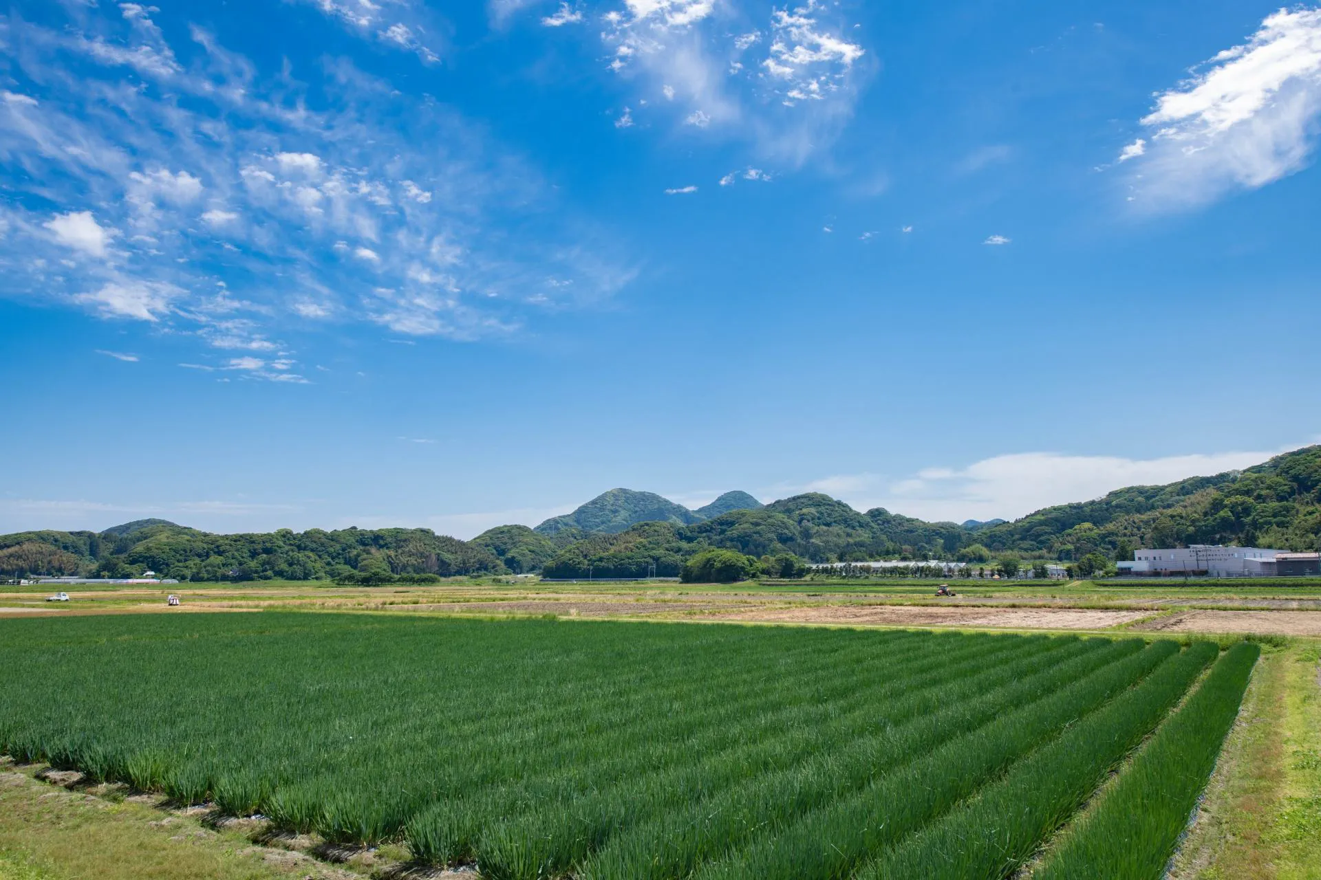 株式会社松岡農園